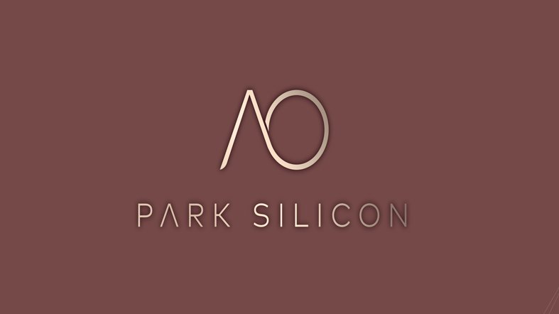 Park Silicon