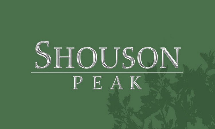 Shouson Peak